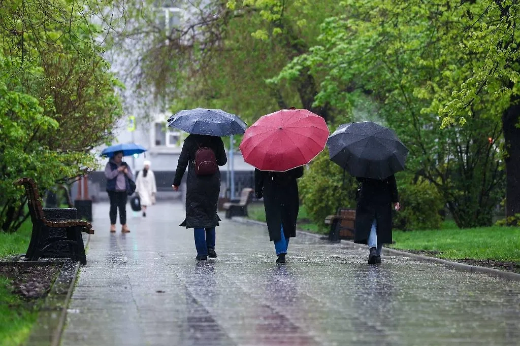 В начале мая в Москве прошёл снег. Фото © ТАСС / 