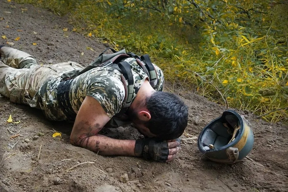 Обложка © Shutterstock / FOTODOM / ArtMari