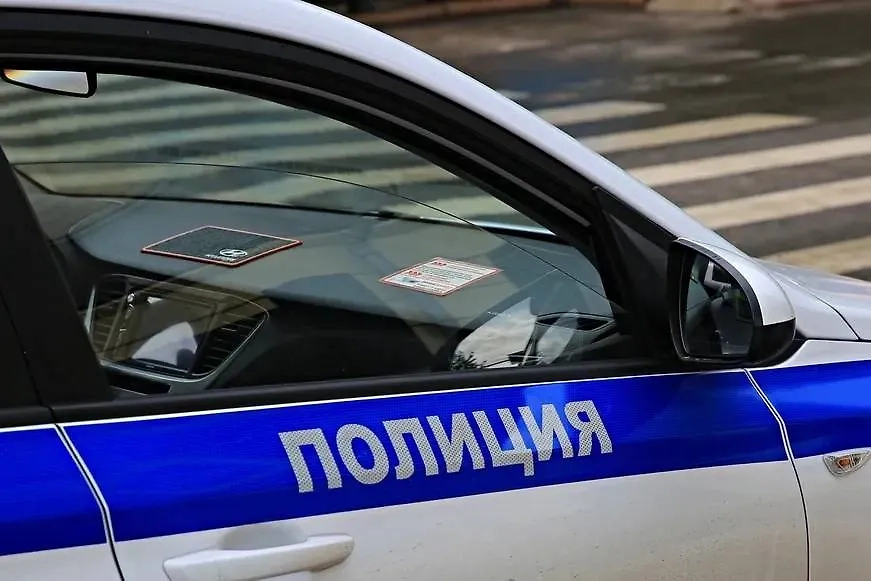 Полицейский автомобиль. Обложка © Shutterstock / FOTODOM / alleks19760526