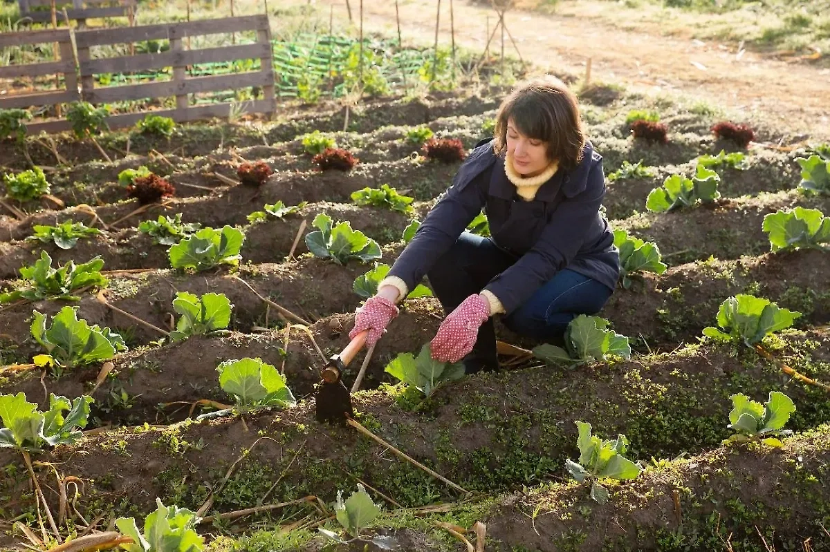 Работа в огороде. Обложка © Shutterstock / FOTODOM / BearFotos
