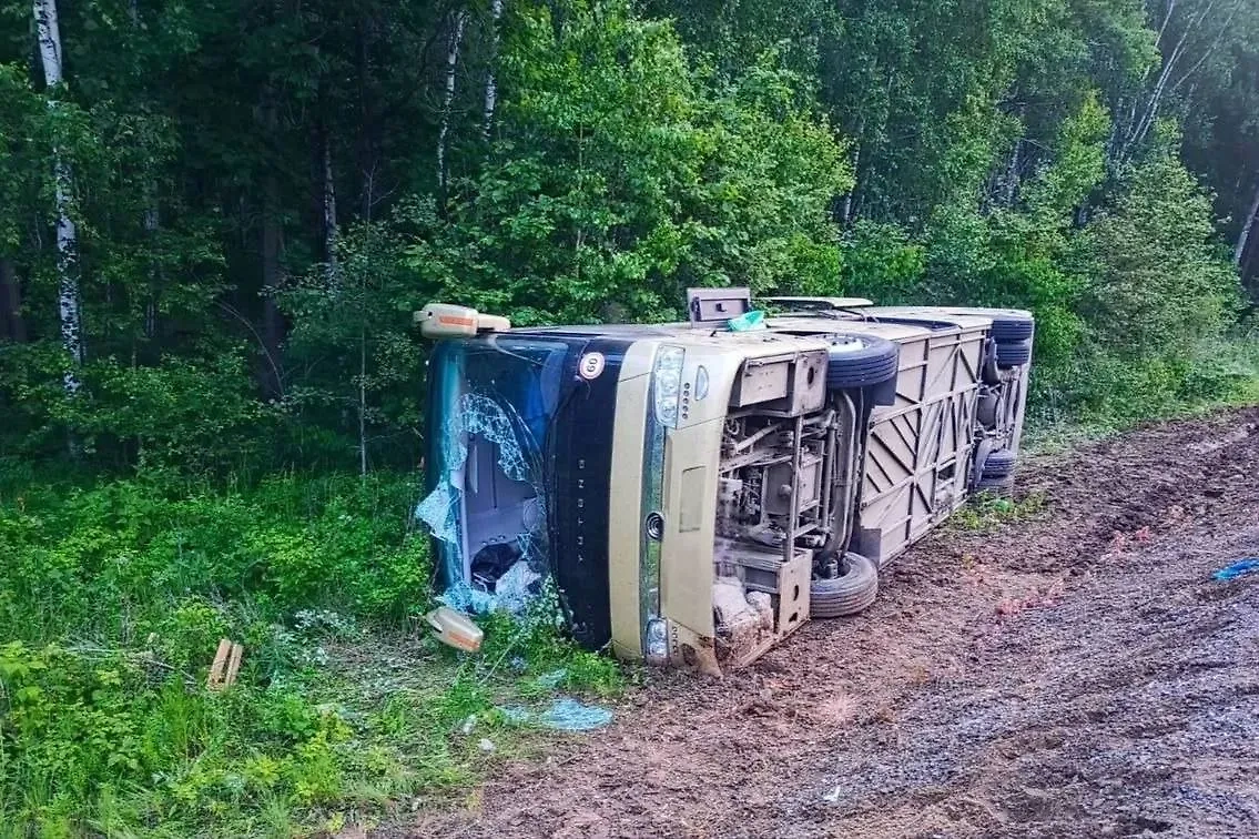 ДТП. Обложка © Telegram / Госавтоинспекция Хабаровского края