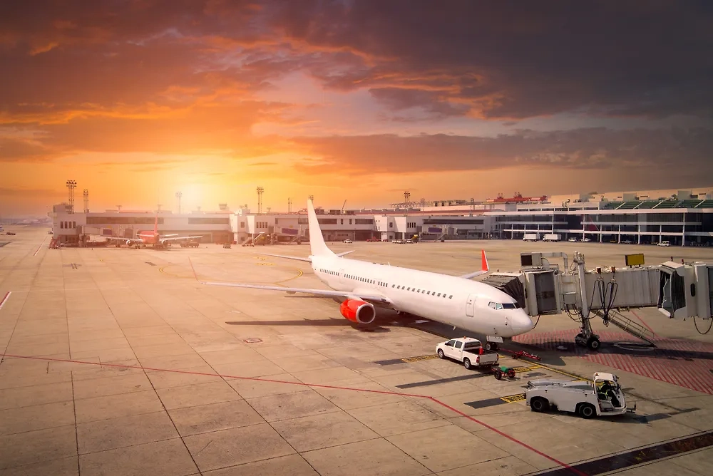 Обложка © Shutterstock / FOTODOM / Issarawat Tattong