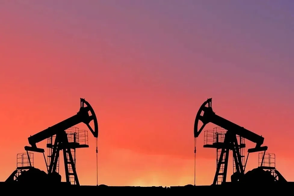 Обложка © Shutterstock / FOTODOM / Maksim Safaniuk