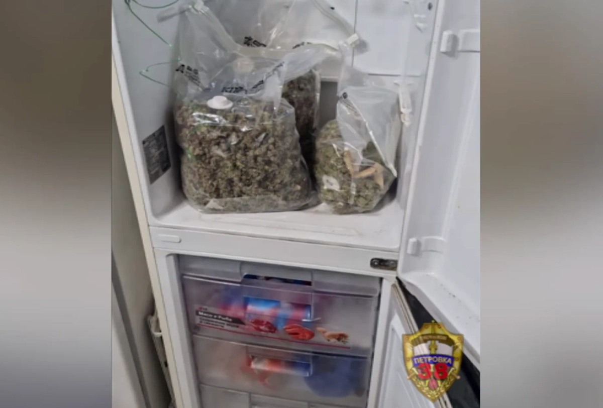 Обложка © Telegram / МВД МЕДИА