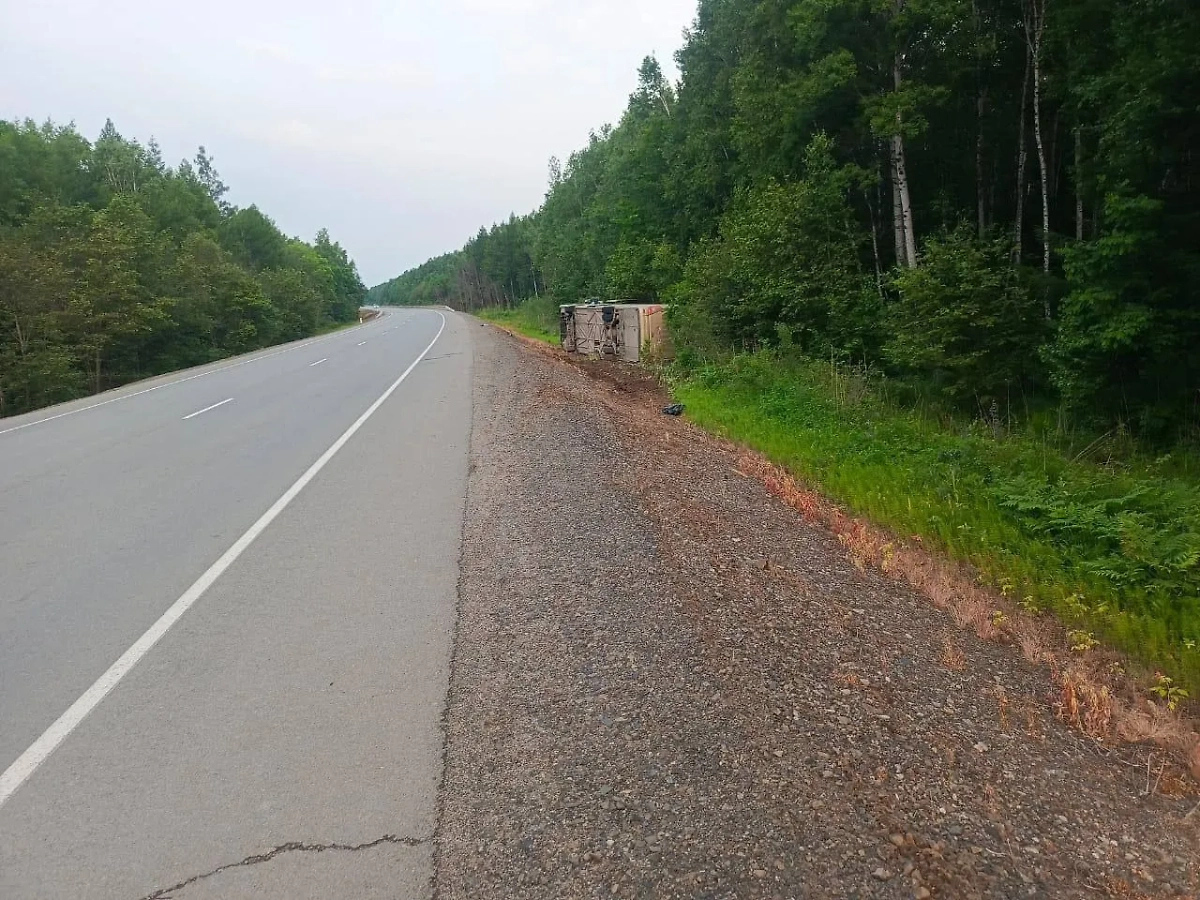 Авария. Обложка © Telegram / Госавтоинспекция Хабаровского края