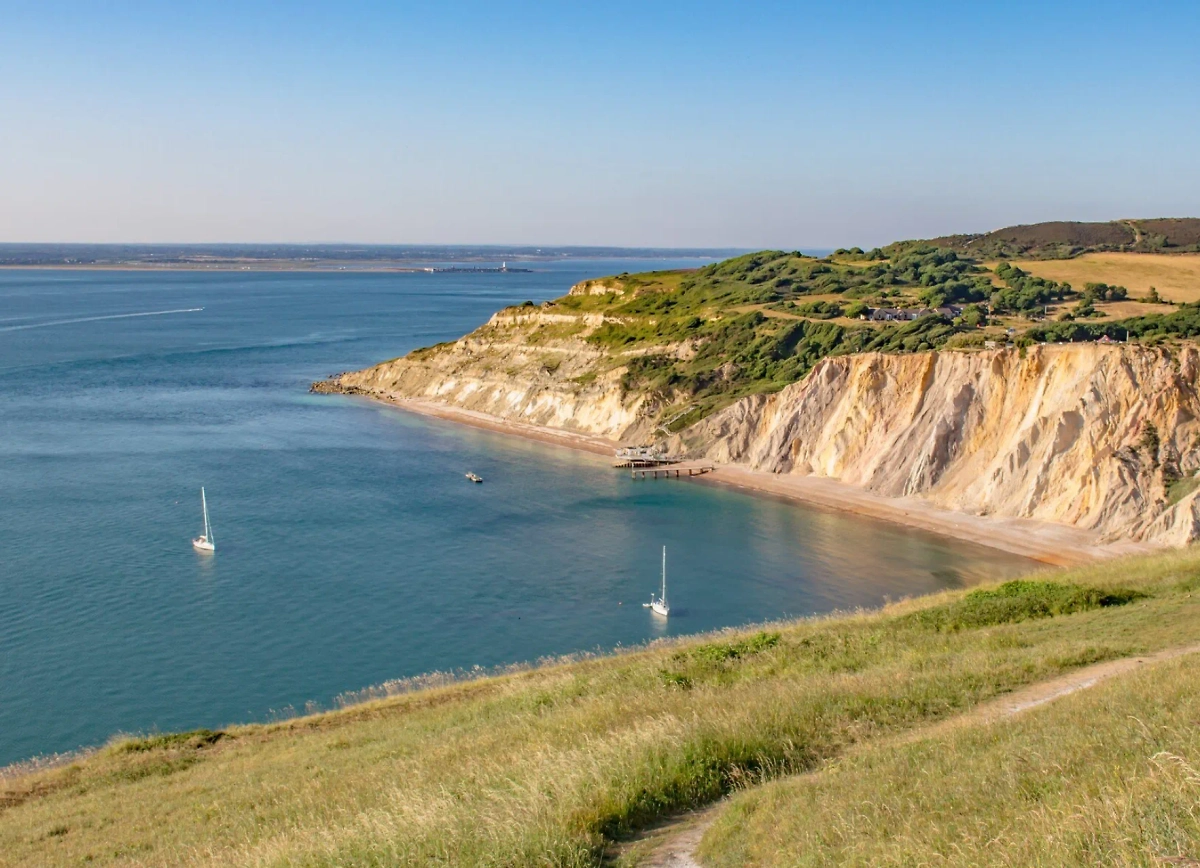 Обложка © freepik