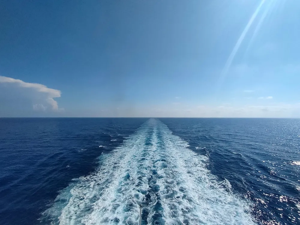 Обложка © Shutterstock / FOTODOM / Compa_92