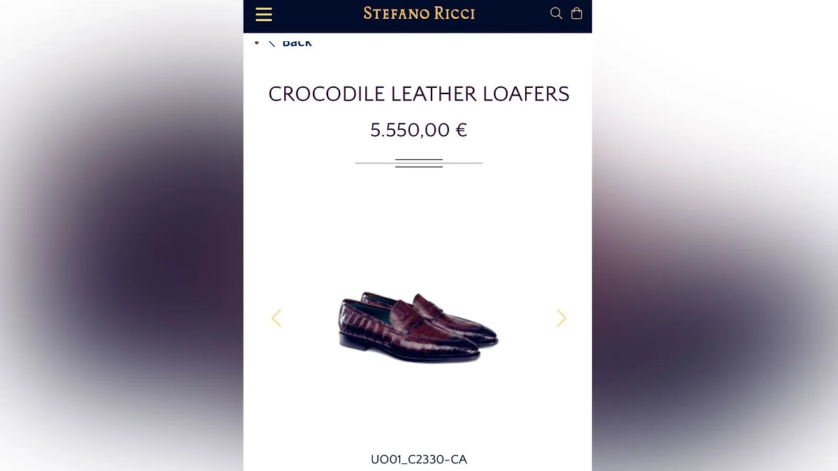 Туфли бренда Stefano Ricci, ношение которых вменяют Эрдогану. Фото © X / Solcu Gazete