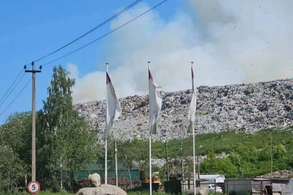 Пожар на полигоне отходов в Ленобласти. Обложка © Telegram / Прокуратура Ленинградской области