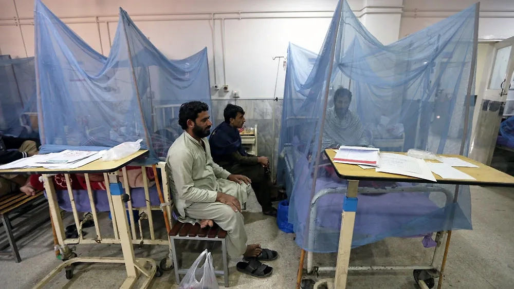 Лихорадка Оропуш обитает в тропиках. Но передаётся и в другие регионы. Фото © ТАСС / АР / BILAWAL ARBAB