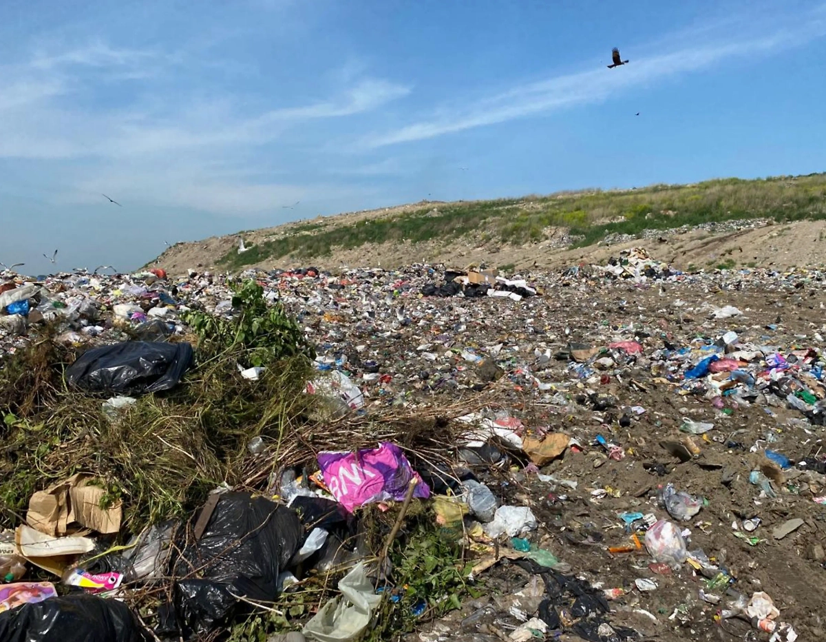 Место преступления в Новосибирске. Фото © Telegram / СУ СК по Новосибирской области