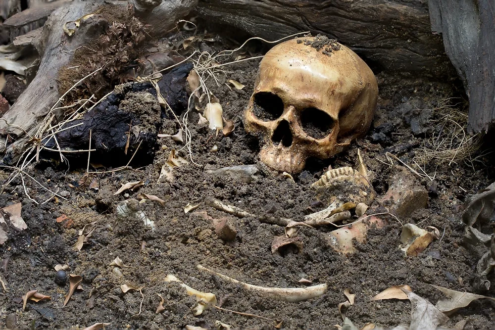 Обложка © Shutterstock / FOTODOM / tatui suwat