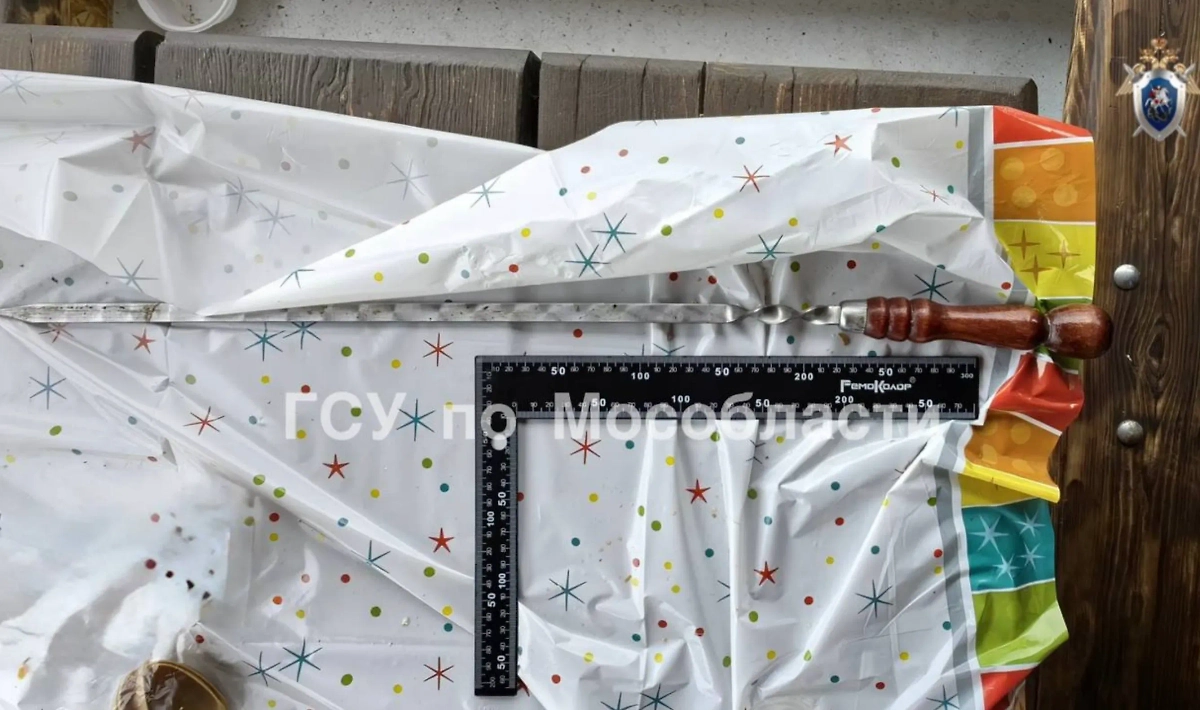 Орудие убийства. Обложка © Telegram / ГСУ СК России по Московской области