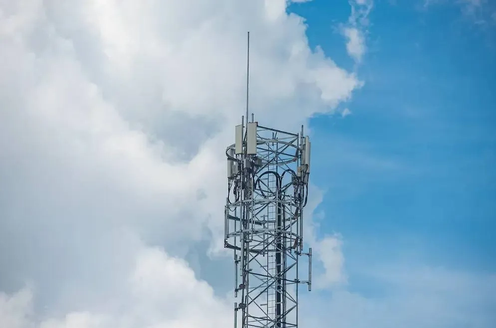 Обложка © freepik / Mateus Andre