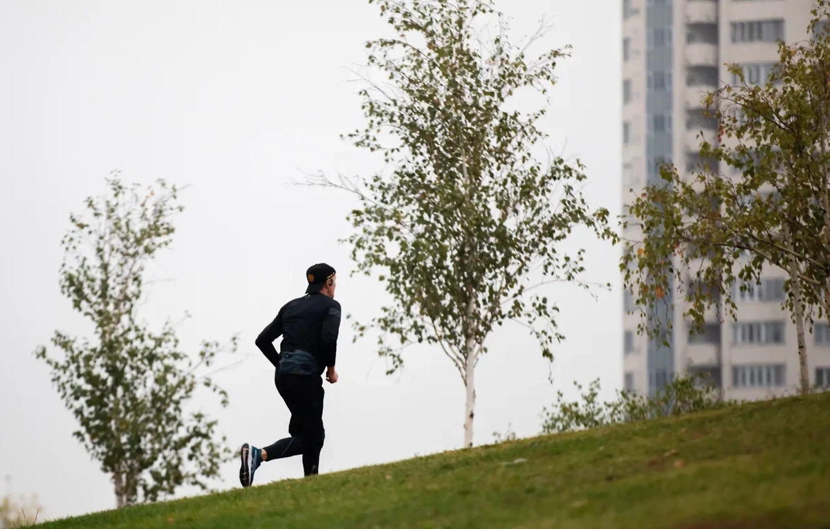 Обложка © Life.ru