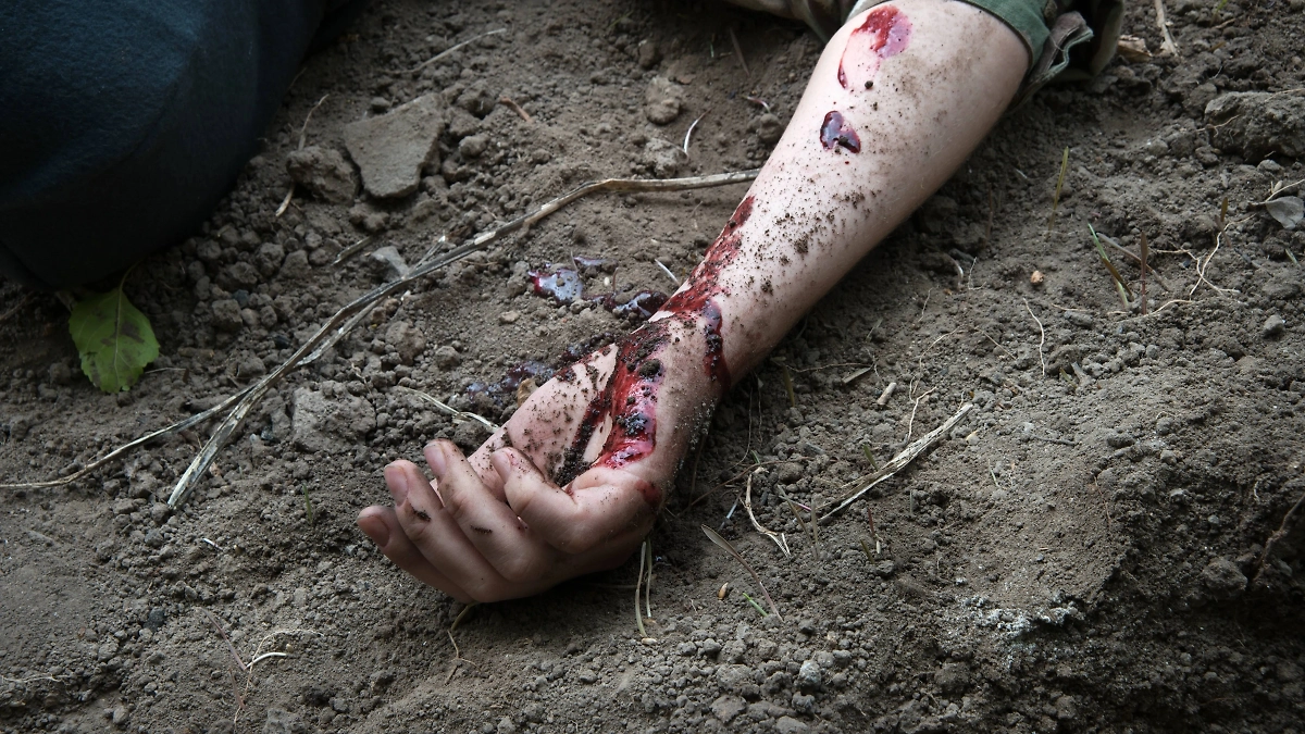 Обложка © Shutterstock / FOTODOM / ArtMari