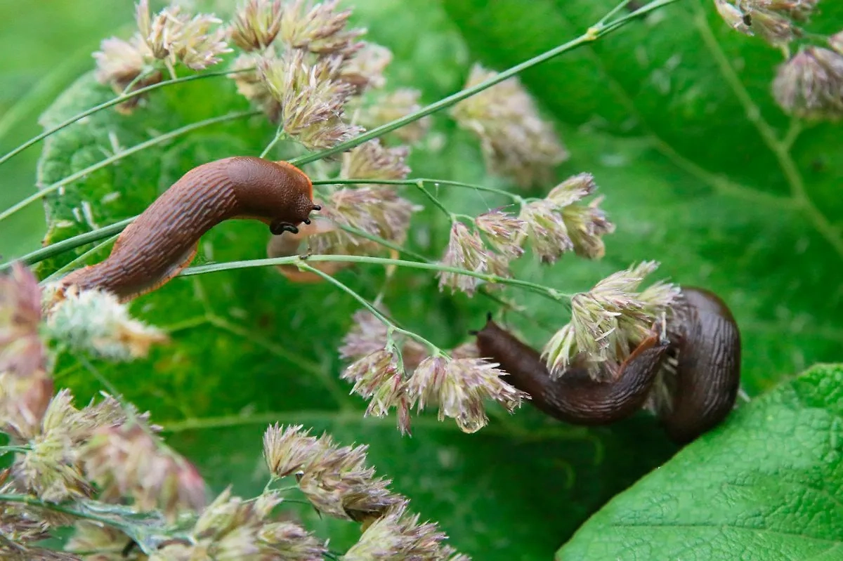 Обложка © Telegram / Агентство «Москва»
