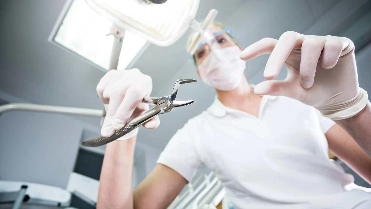 Обложка © Shutterstock / FOTODOM / Jan Faukner