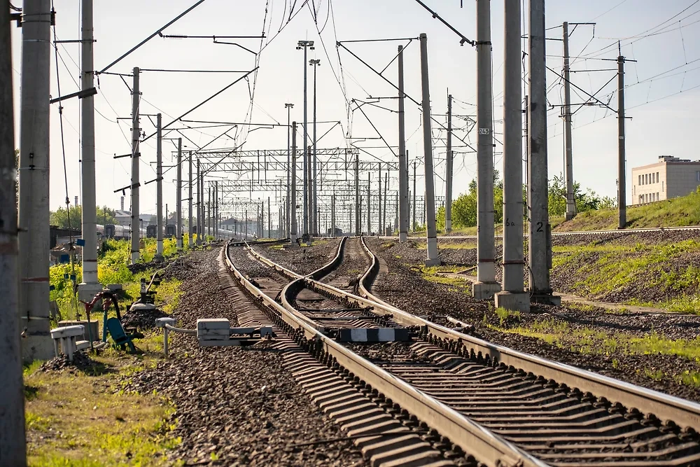 Обложка © Shutterstock / FOTODOM / iapetuhov