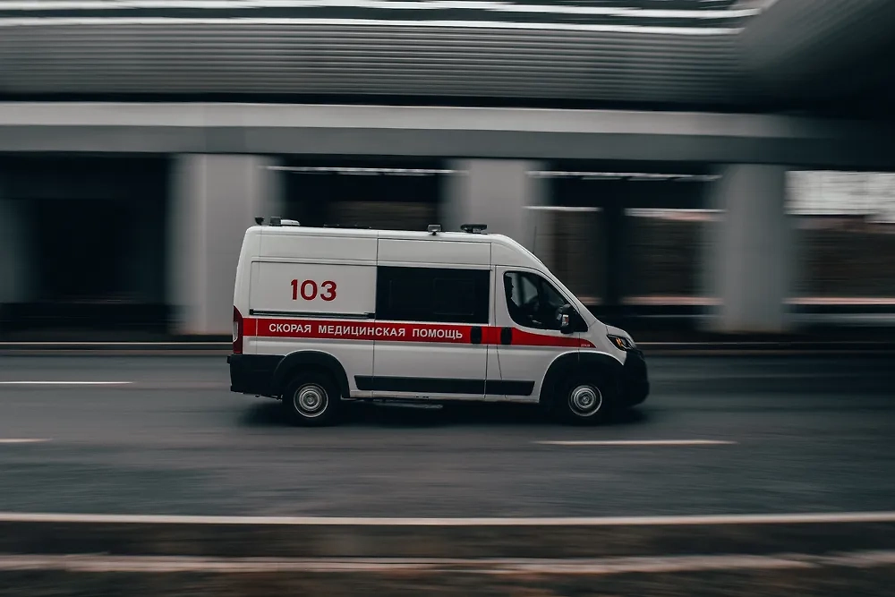 Обложка © Shutterstock / FOTODOM / Zhukovichby