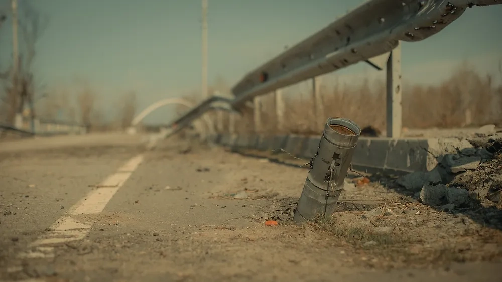 Обложка © Shutterstock / FOTODOM / Kravets Misha