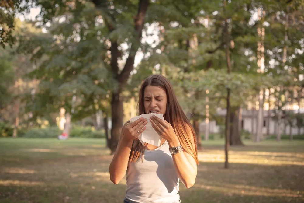 Обложка © Shutterstock / FOTODOM / natasaelena