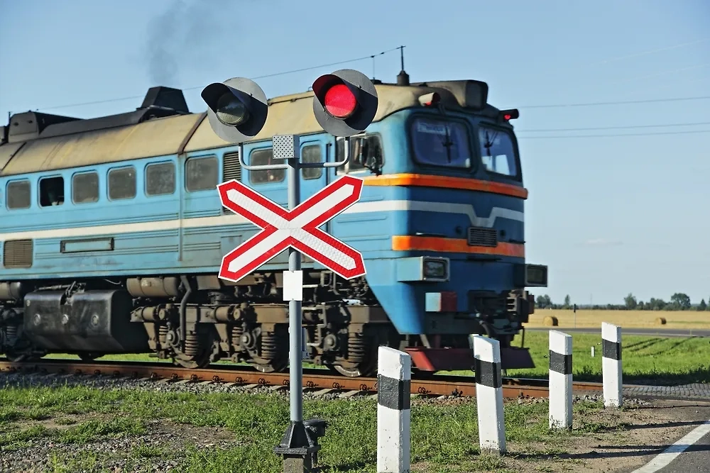 Обложка © Shutterstock / FOTODOM / ilmarinfoto