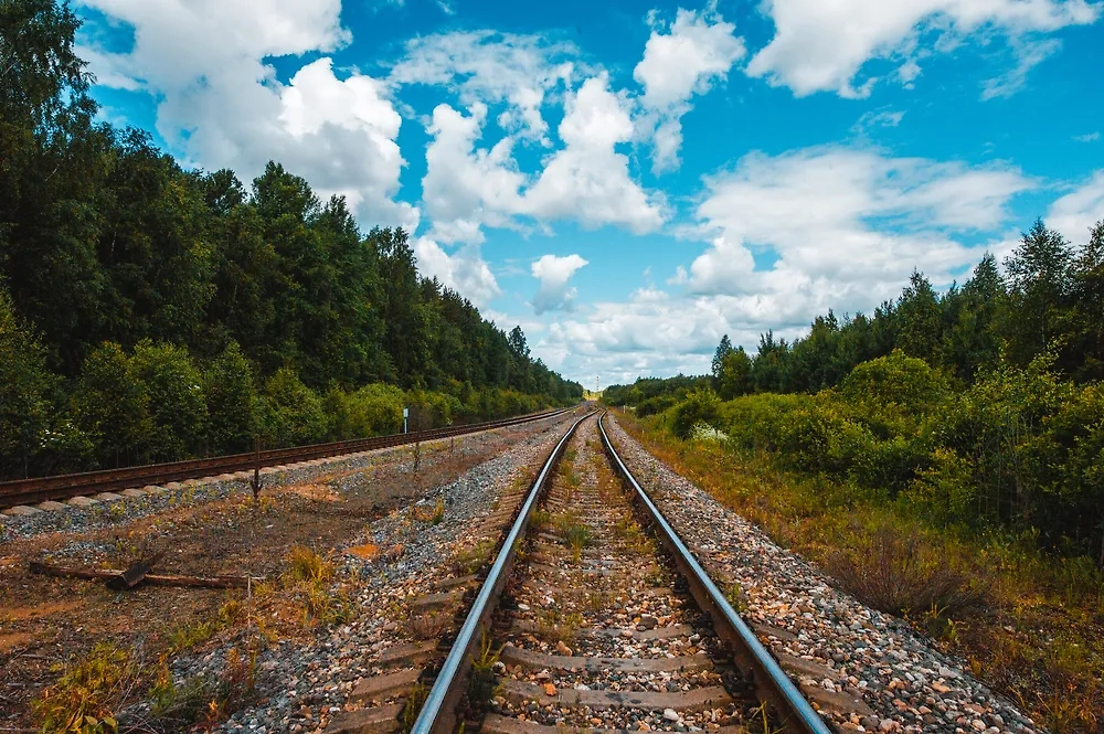 Обложка © Shutterstock / FOTODOM / zodyakuz