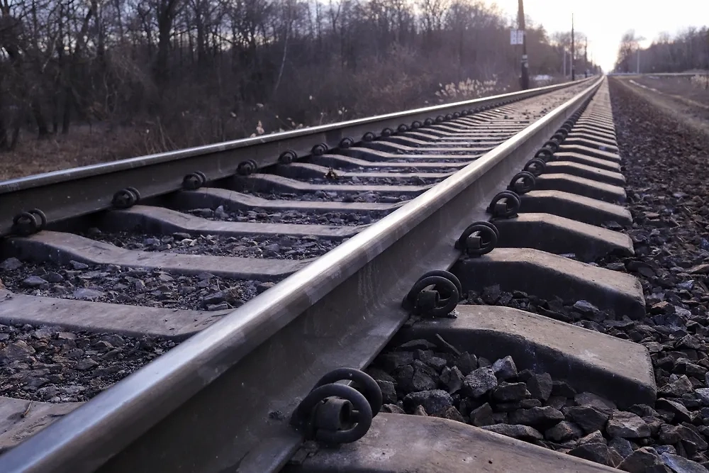 Обложка © Shutterstock / FOTODOM / Seamm