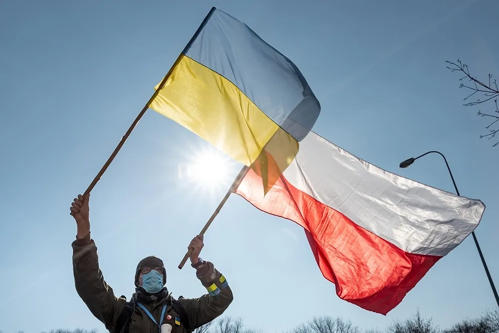 Обложка © Shutterstock / FOTODOM / Damian Lugowski