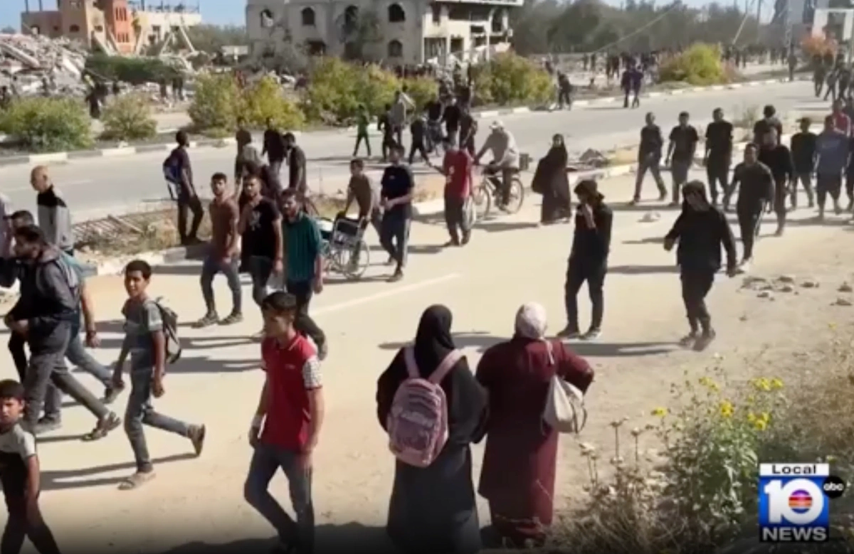 Обложка © local10.com