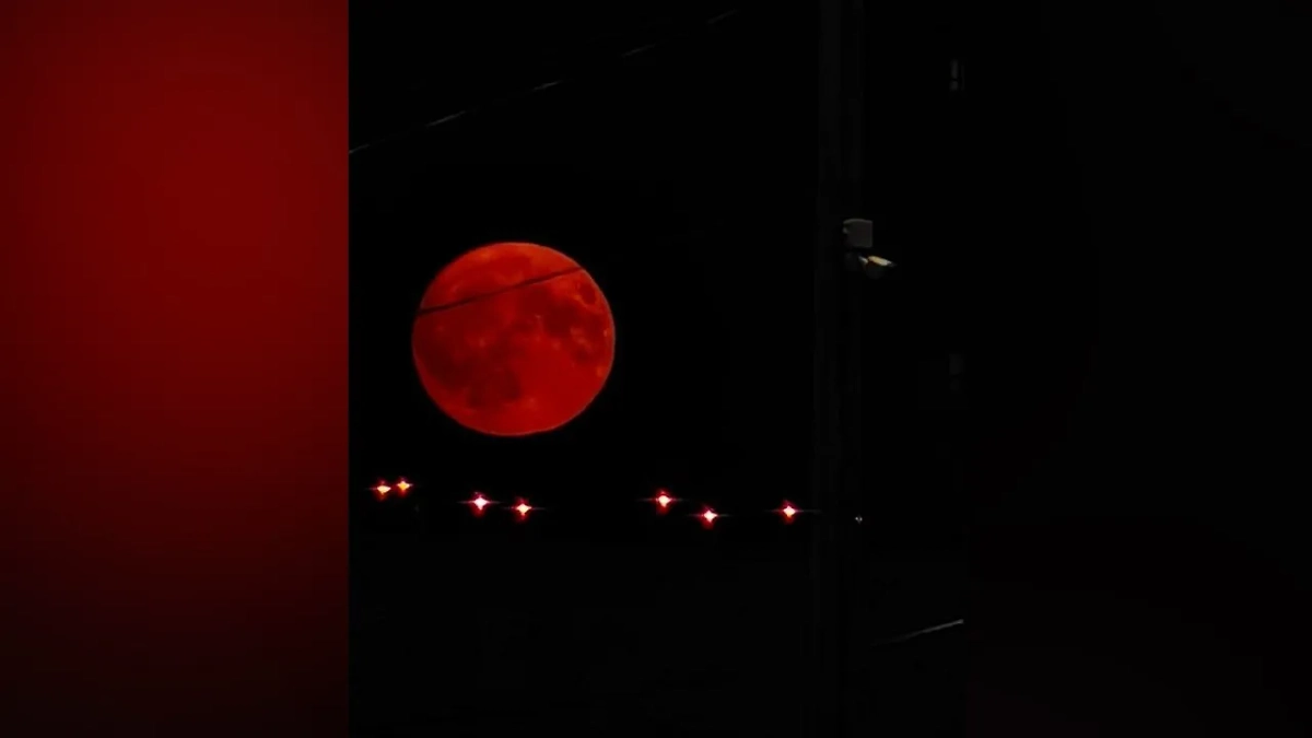 Клубничное полнолуние. Обложка © VK / Это Тюмень, детка!