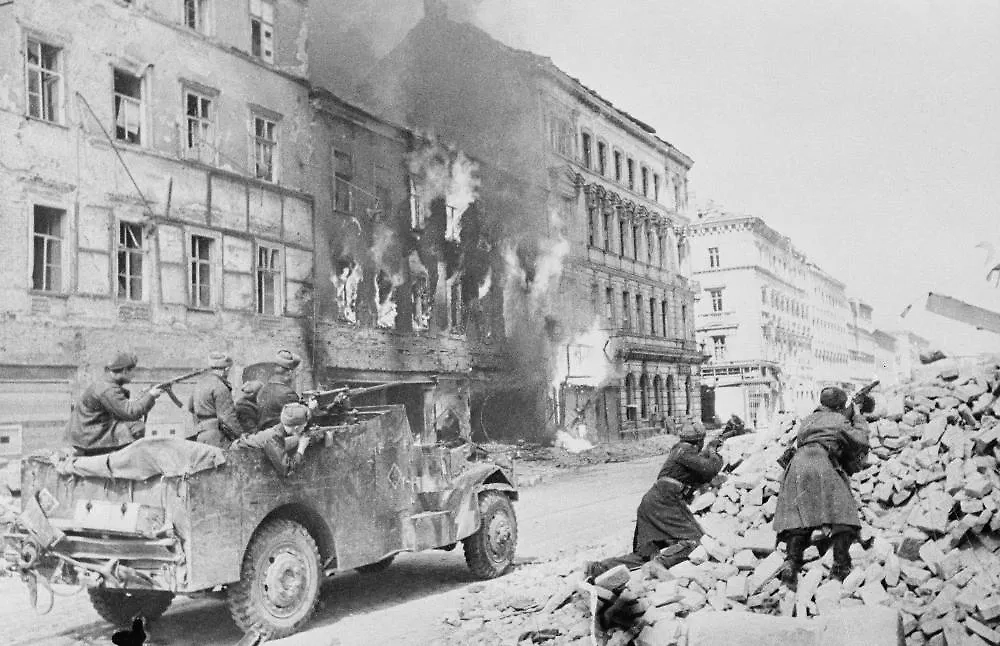 Обложка © ТАСС / Евгений Халдей