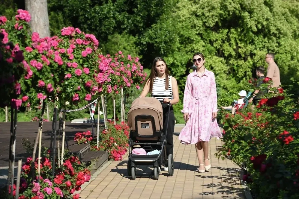 С 1 июля вырастут социальные выплаты. Обложка © РИА «Новости» / Екатерина Лызлова