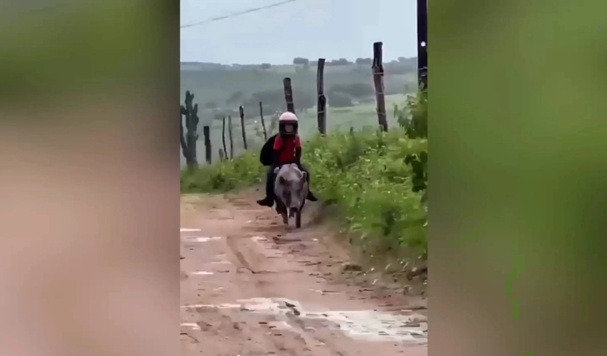 Обложка © Instagram (соцсеть запрещена в РФ; принадлежит корпорации Meta, которая признана в РФ экстремистской) / gutinho_rochaofc