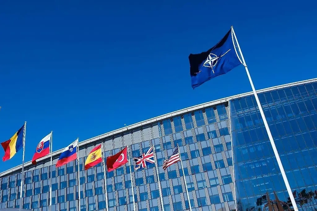 Обложка © Shutterstock / FOTODOM / Alexandros Michailidis