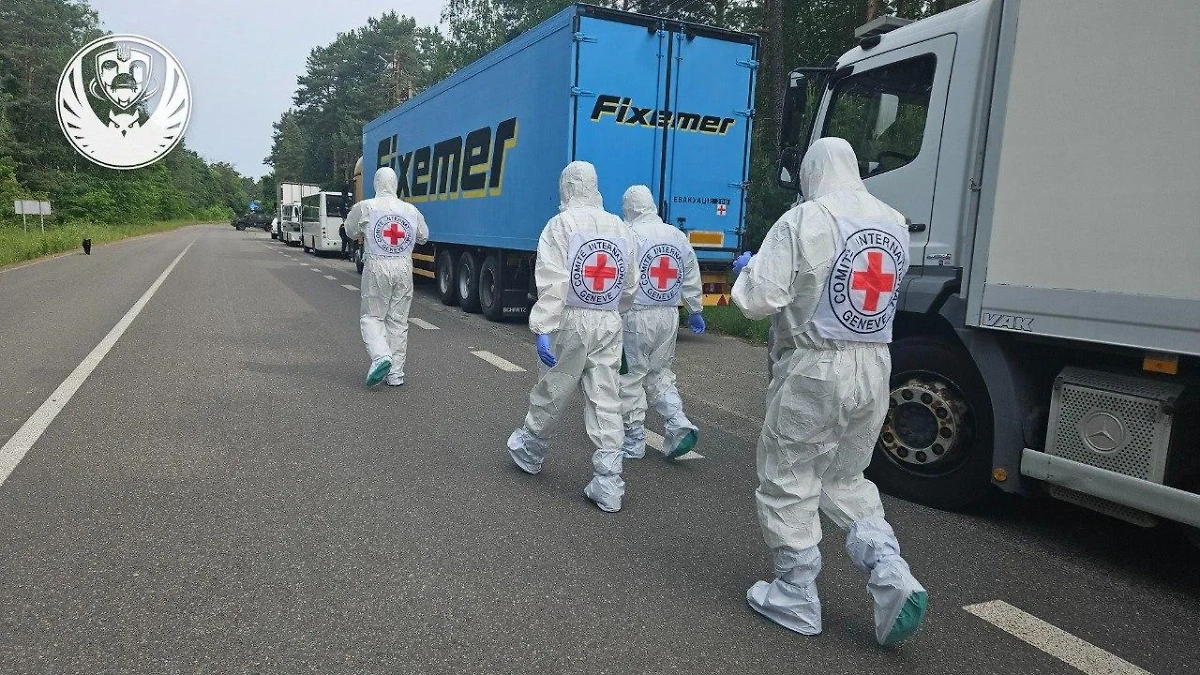 Обложка © Координационный штаб Украины