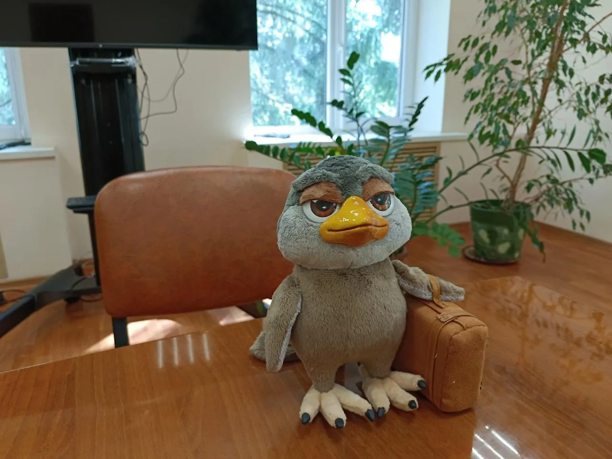 Психбольница в Челябинске сделала своим символом Кукуху. Обложка © Telegram / 74.RU| Новости Челябинска