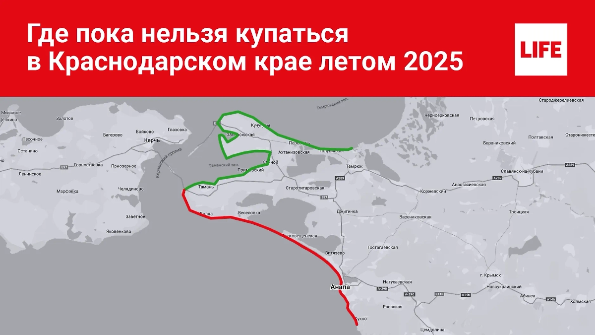 Купаться у Тамани и Анапы пока не рекомендуется. Инфографика © Life.ru