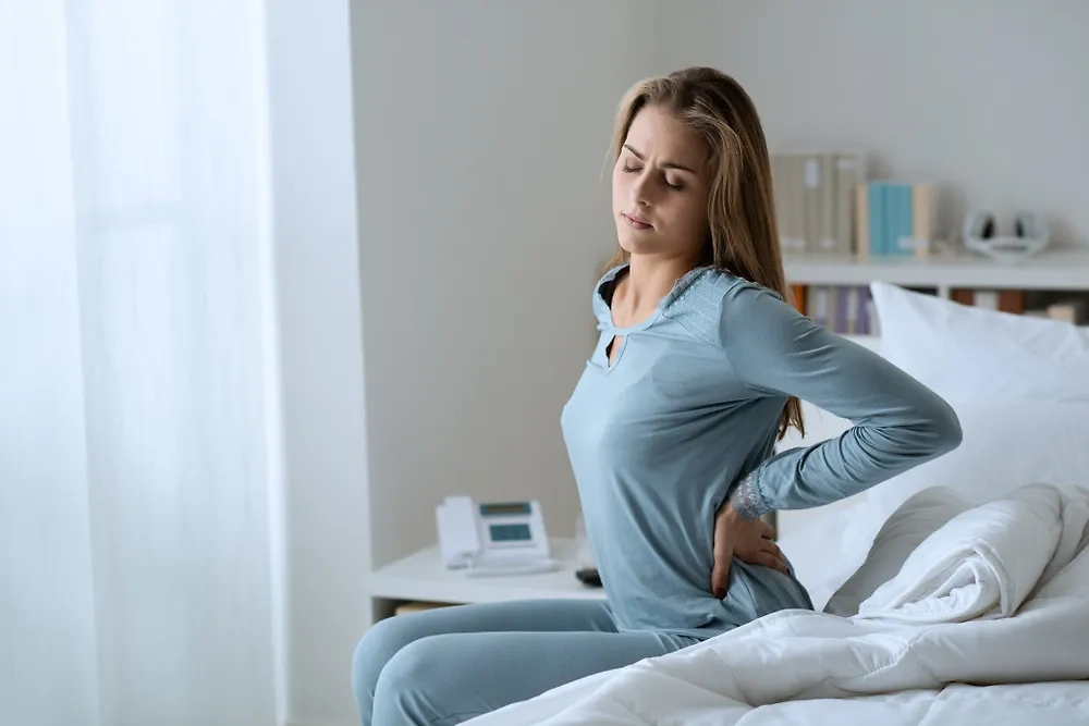 Обложка © Shutterstock / FOTODOM / Stock-Asso