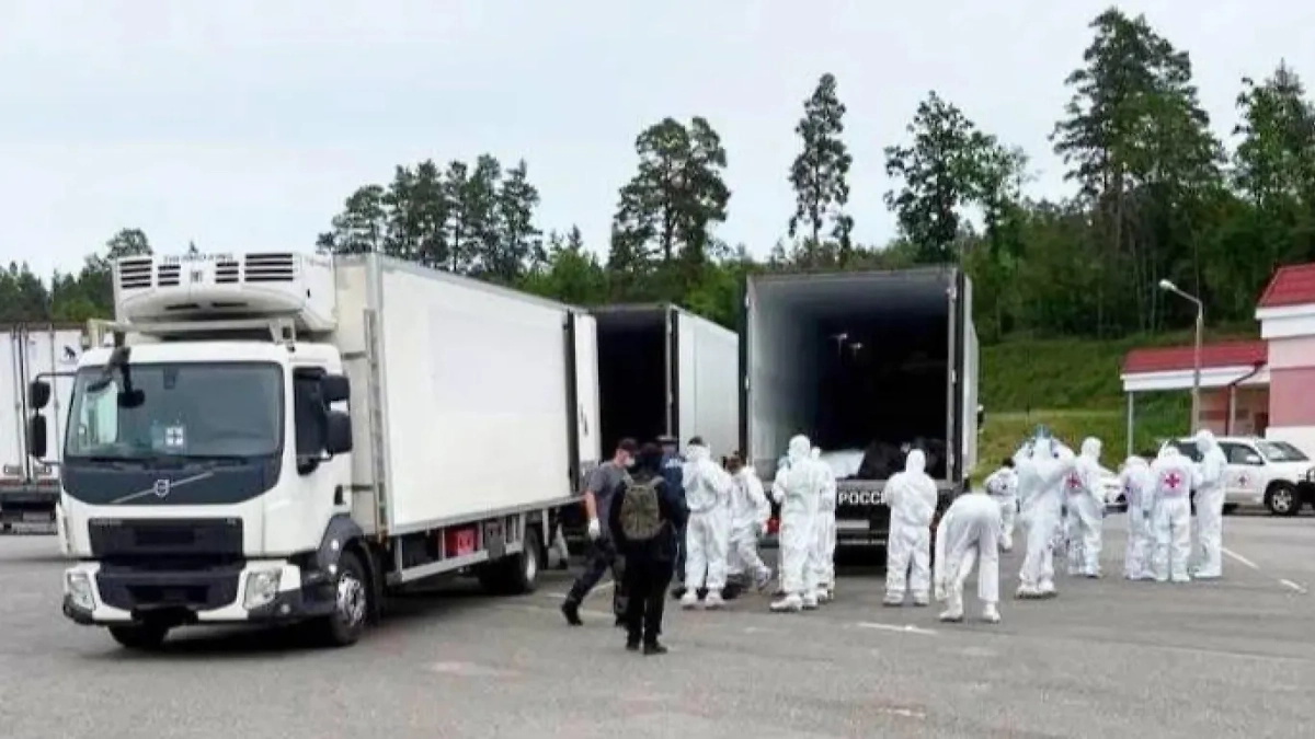 Обложка © Telegram / Владимир Мединский