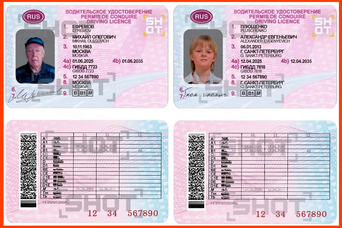 Липовые права Ефремова и Гном Гномыча. Фото © Telegram / SHOT