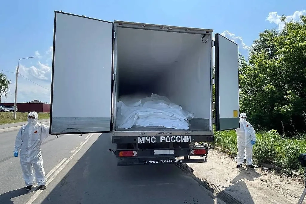 Обложка © ТАСС / Дмитрий Радченко