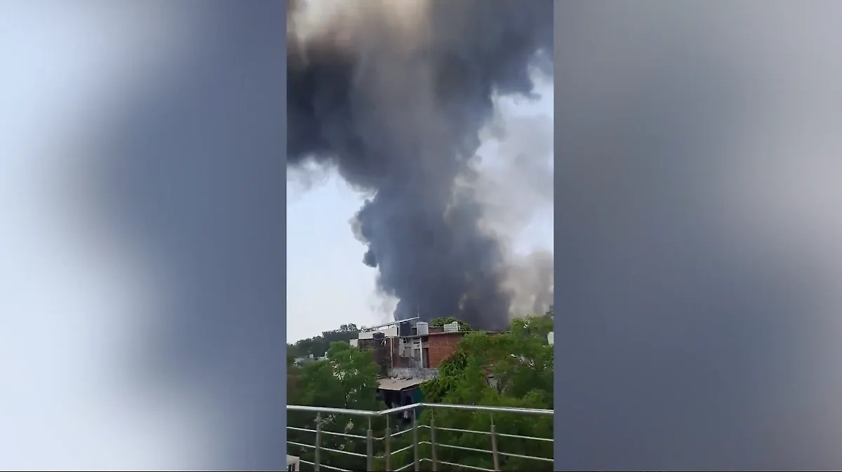 Обложка © X / rehhann