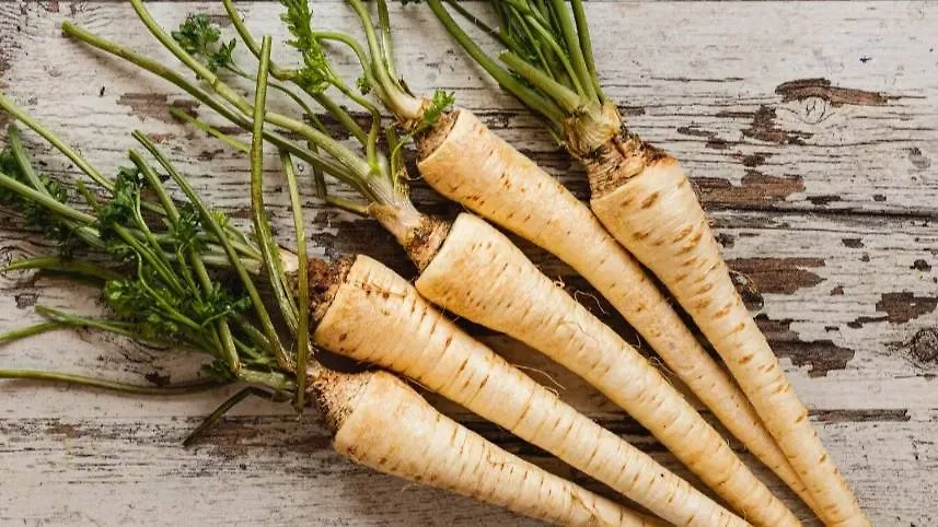 Обложка © freepik / freepik