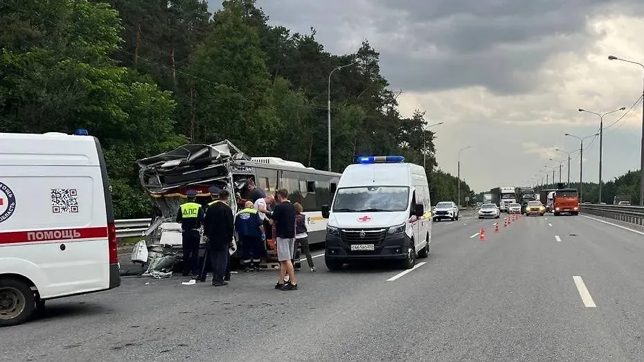 Обложка © Telegram / Подмосковная полиция