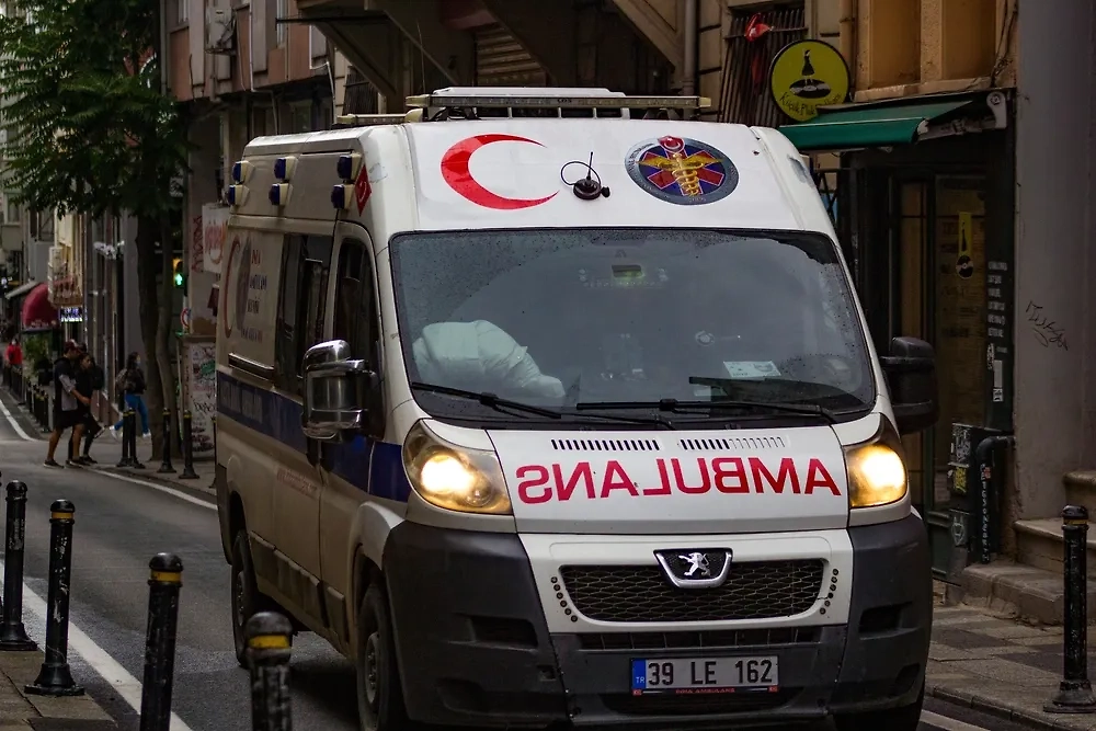 Обложка © Shutterstock / FOTODOM / FOTMA