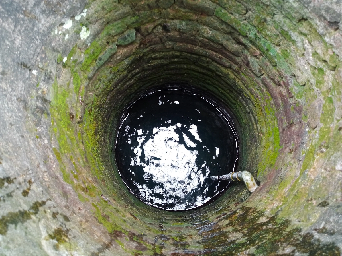 Обложка © Shutterstock / FOTODOM / Nehafb