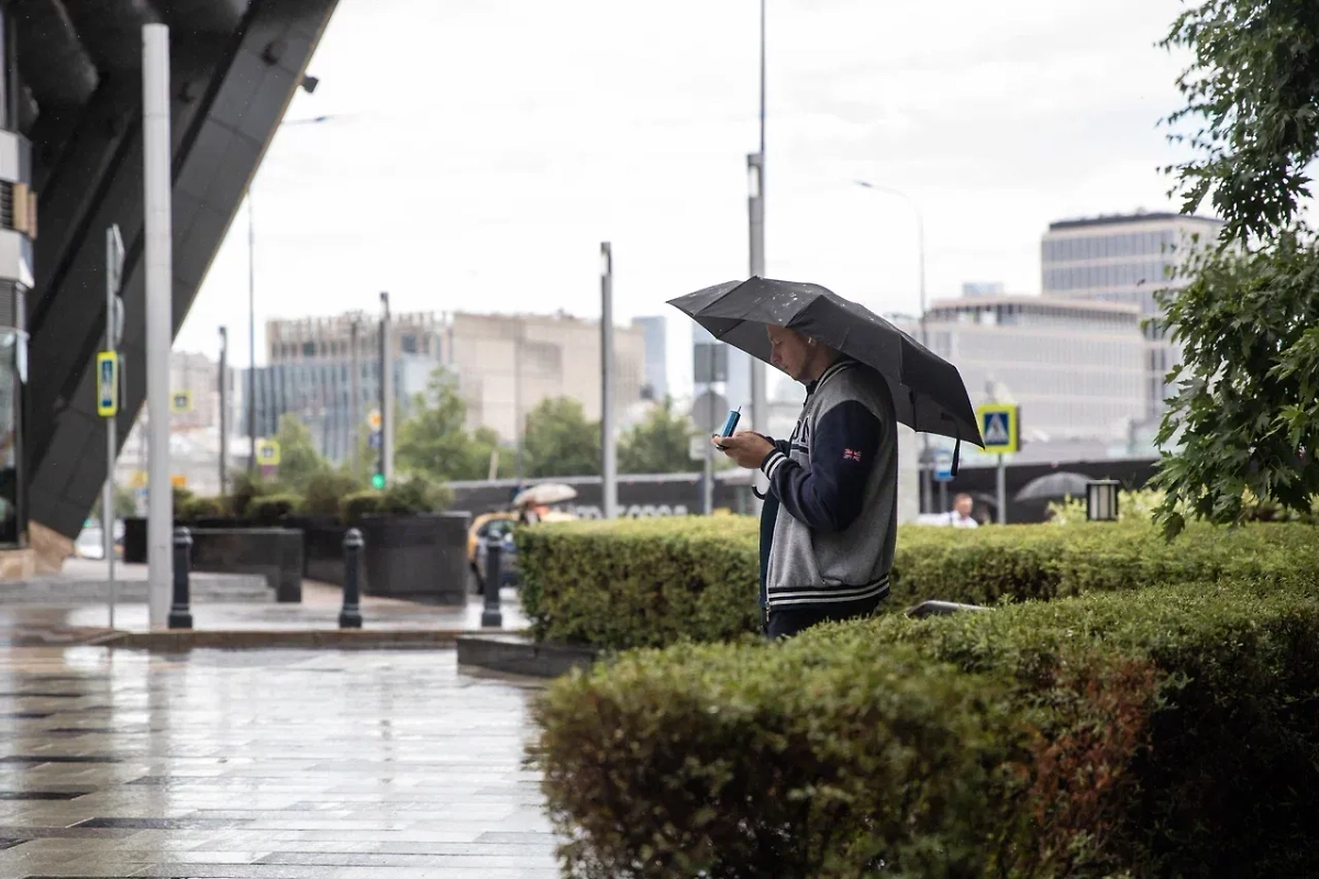 Обложка © Life.ru