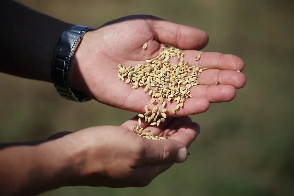 Обложка © РИА Новости / Виталий Тимкив